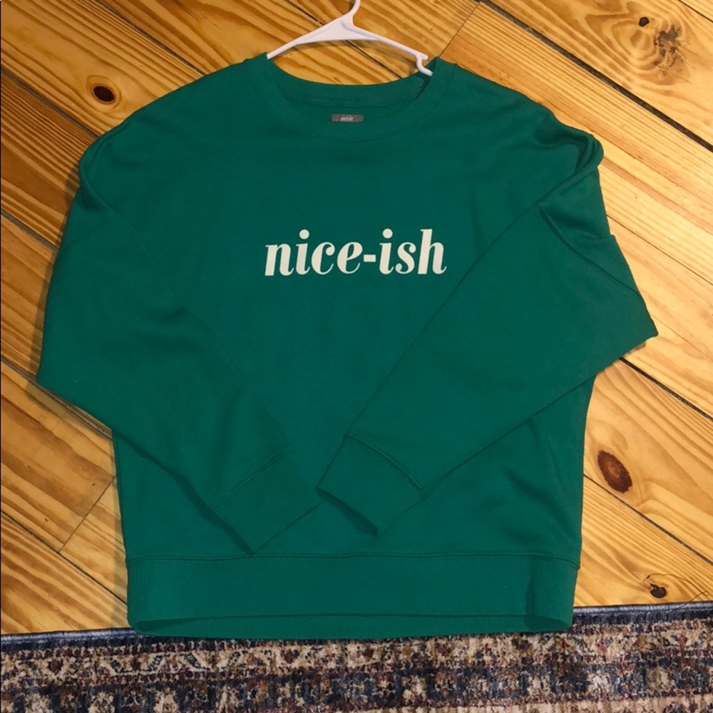 NWOT aerie “Nice-ish” green sweatshirt